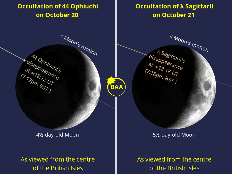 Around the onset of nautical twilight in the U.K., the waxing crescent Moon occults naked-eye stars at similar times on consecutive evenings, starting with magnitude +4.2 44 Ophiuchi on October 20 and concluding with magnitude +2.8 Lambda (λ) Sagittarii on October 21. While the graphic above shows the stars' disappearance times for the centre of the British Isles, times for other locations around the U.K. are tabulated below. BAA graphic by Ade Ashford. Around the onset of nautical twilight in the U.K., the waxing crescent Moon occults naked-eye stars at similar times on consecutive evenings starting October 20. BAA graphic by Ade Ashford.